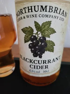 danlo's photo of Blackcurrant Cider