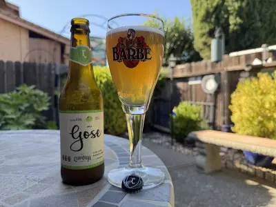 bhensonb's photo of Gose Limão