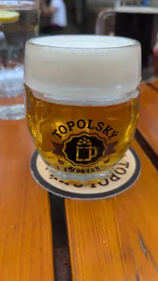 Werckmeister's photo of Smetana 11°