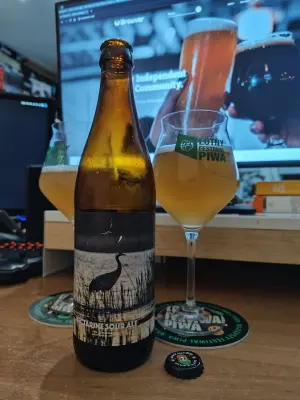 Faalagorn's photo of Nectarine Sour Ale
