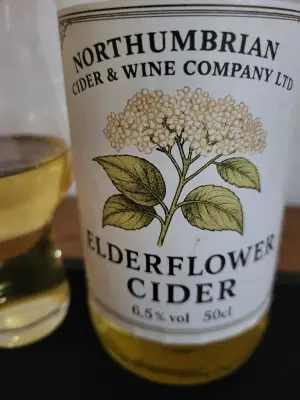 danlo's photo of Elderflower Cider