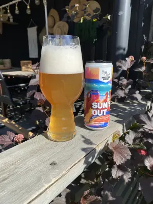 IpaPils's photo of Sun's Out
