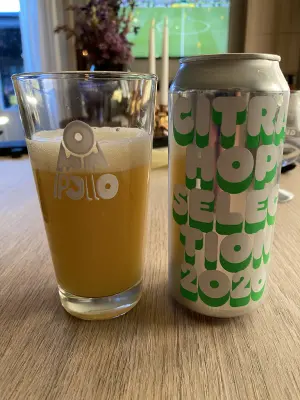 IpaPils's photo of Citra Hop Selection 2026