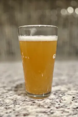 PLohbauer's photo of IPA