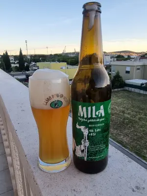 Arsol's photo of Mila
