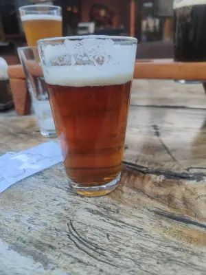 minutemat's photo of IPA India Pale Ale