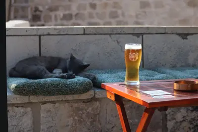 tompaulman's photo of Pivo