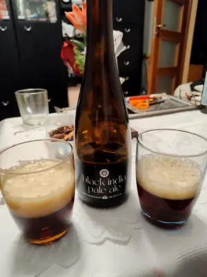 Faalagorn's photo of Black India Pale Ale