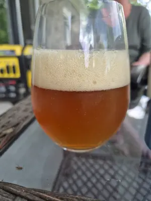 blackisle's photo of Premium Lager