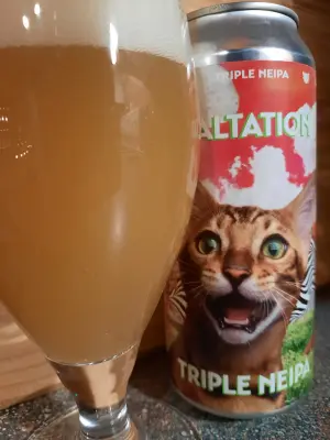 Metalchopz's photo of Exaltation