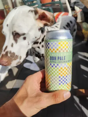 minutemat's photo of DDH Pale - Citra