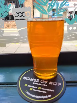 danlo's photo of Iron Brew