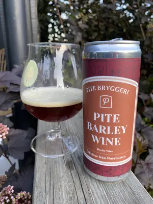IpaPils's photo of Barley Wine