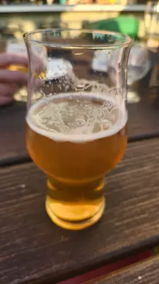 theisti's photo of Blondie (5.8%)