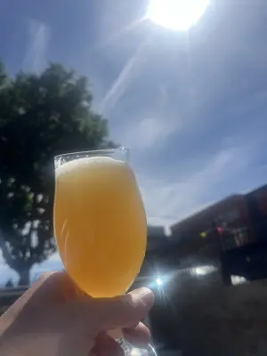 CraftBeerNick's photo of Dominion