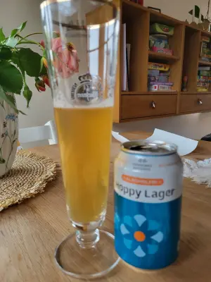 brnandersen's photo of Alkoholfri Hoppy Lager