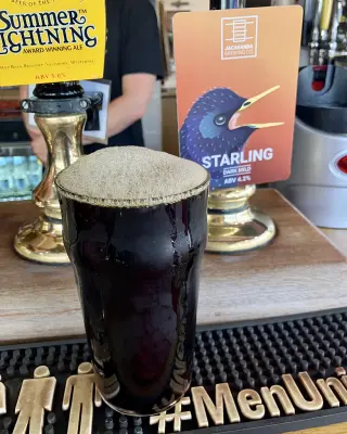 Grumbo's photo of Starling