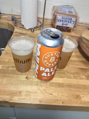 ogivlado's photo of Patina Pale