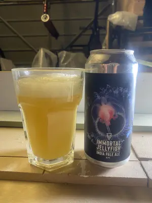 wyzzywyz22's photo of Immortal Jellyfish