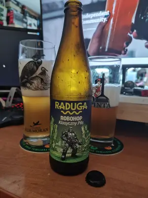 Faalagorn's photo of Robohop
