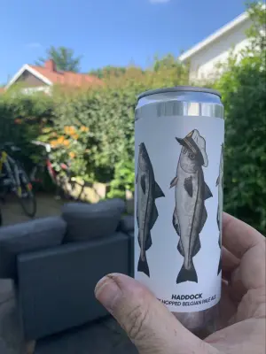 Nisse666's photo of Haddock
