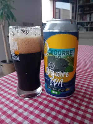 Sebletitje's photo of Bigorre IPA - Série Collector 10 Ans Room 1