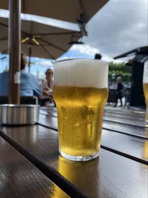IpaPils's photo of Budvar Fresh Hop
