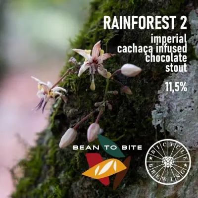 Charlotte's photo of Rainforest 2