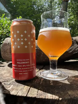 Tessic's photo of Palomino