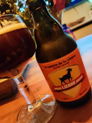 TomHendriksen's photo of Brune