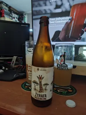 Faalagorn's photo of Żyrafa
