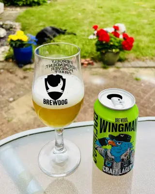 Grumbo's photo of Wingman - Lager