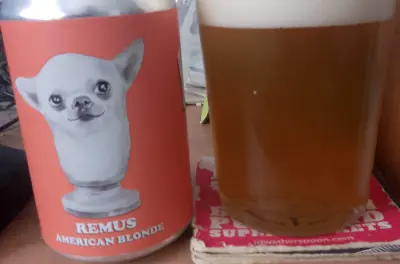 Deanso's photo of Remus American Blonde