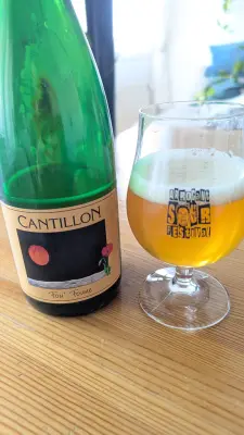 Werckmeister's photo of Fou' Foune (2020)