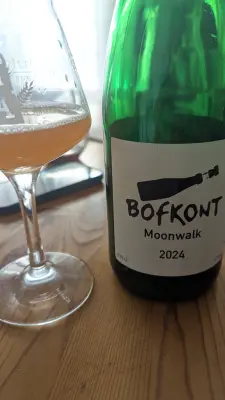 Werckmeister's photo of Moonwalk 2024