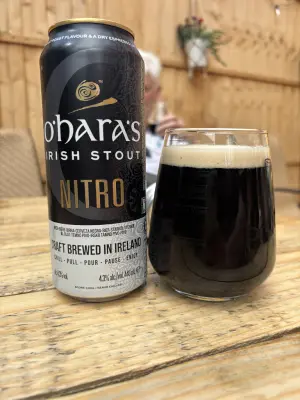 Mr_Pink_152's photo of Irish Stout Nitro