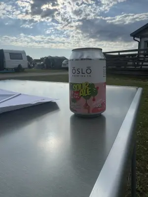 Chris_Ofstad's photo of Sour Ale