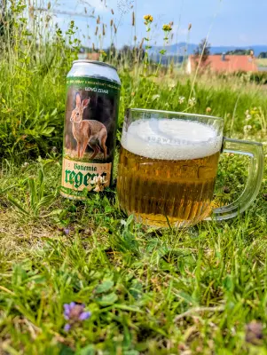 Fin's photo of Premium Světlý Ležák 12°