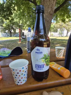 Goldbarren's photo of 13 Single Hop Ale Strata