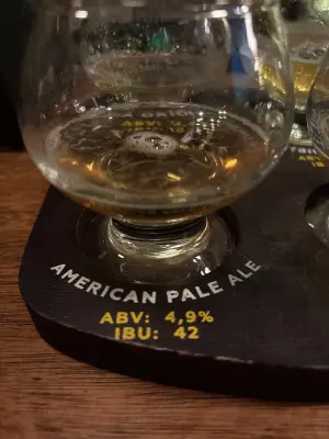 saxo's photo of American Pale Ale (APA)