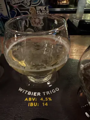 saxo's photo of Witbier