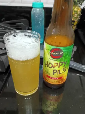 solidfunk's photo of Hoppy Pils