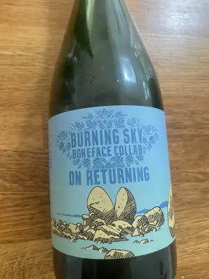 wyzzywyz22's photo of On Returning