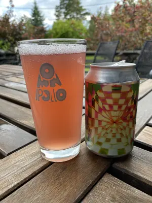 IpaPils's photo of Pleroma Raspberry Passion Crème Brũlee Sour