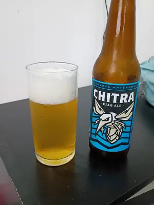 solidfunk's photo of Chitra