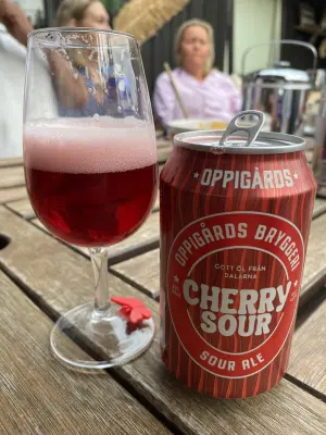 IpaPils's photo of Cherry Sour