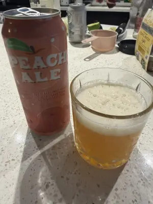 kangareuben's photo of Campanology Peach Ale