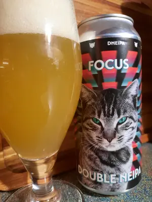 Metalchopz's photo of Focus