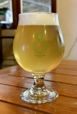 jimgreen's photo of Unstopped Mexican Lager