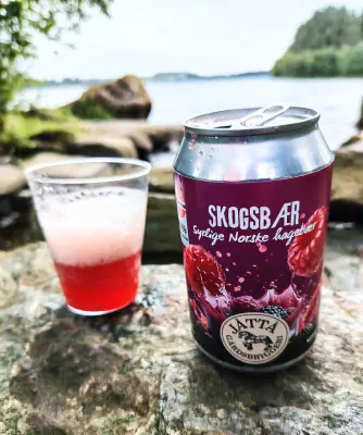 Holmen_1's photo of Skogsbær